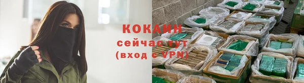 соль ск Липки