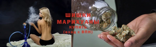 соль ск Липки