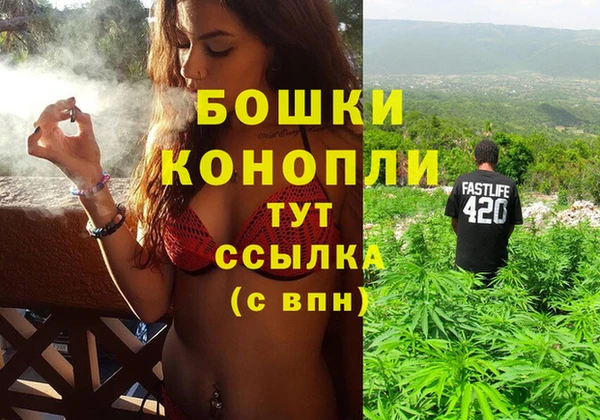соль ск Липки
