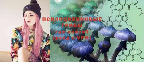 дурь Лихославль