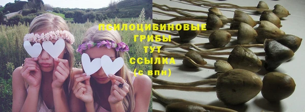дурь Лиски