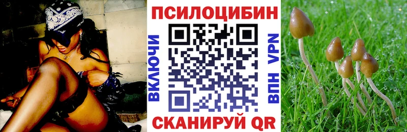Псилоцибиновые грибы Cubensis  Купить где  Облучье 